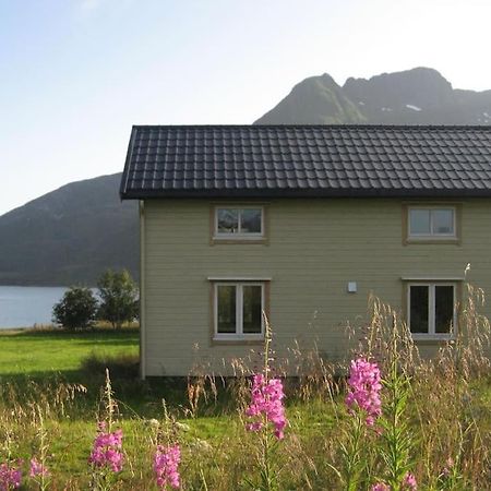 Charming House By The Sea, Lofoten! Laupstad 외부 사진