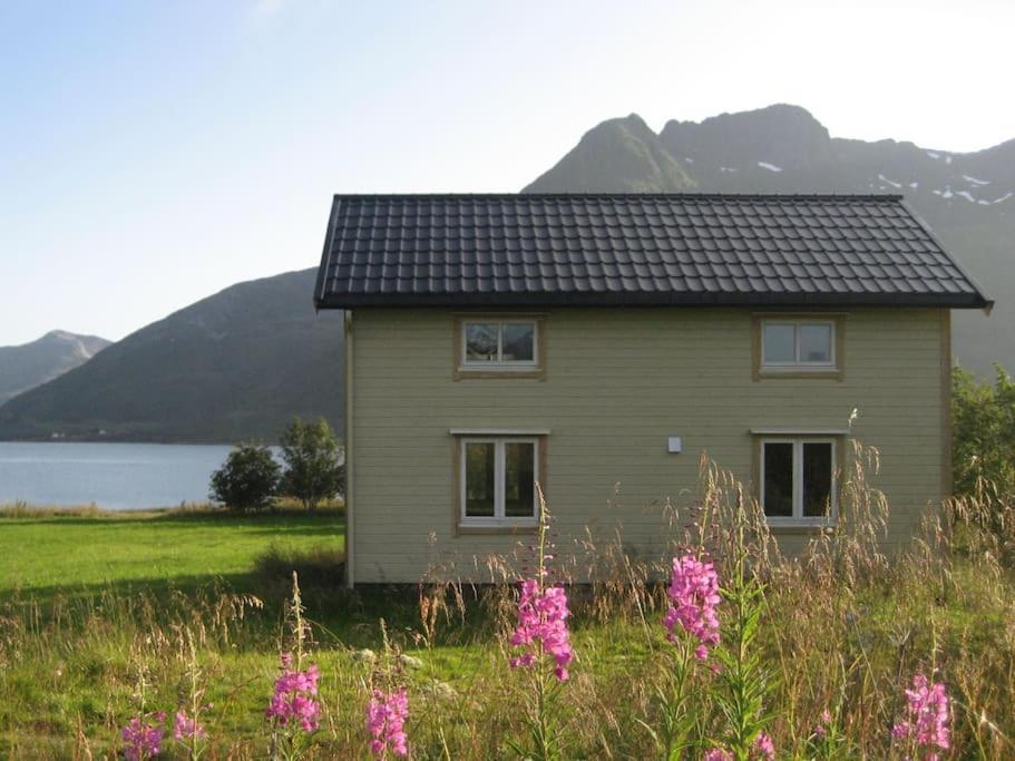 Charming House By The Sea, Lofoten! Laupstad 외부 사진