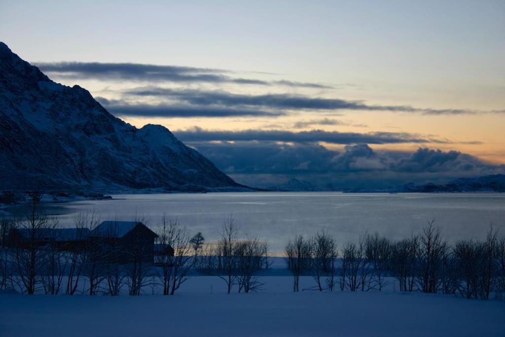 Charming House By The Sea, Lofoten! Laupstad 외부 사진