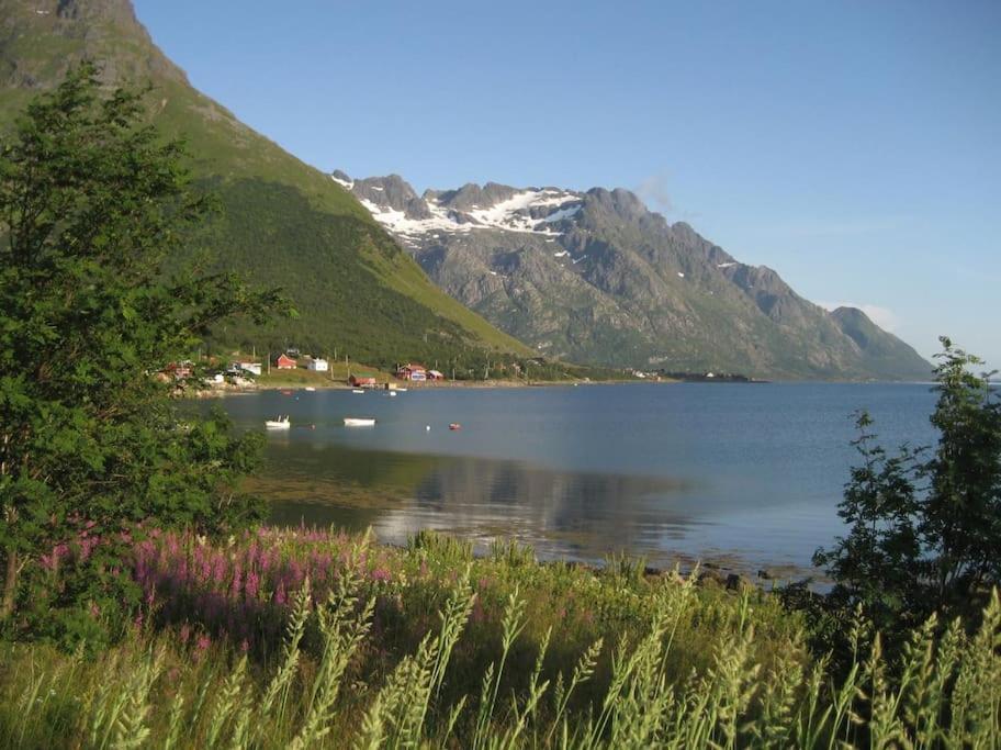 Charming House By The Sea, Lofoten! Laupstad 외부 사진